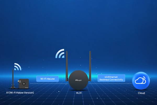 Milesight HL31 - Redondance de connexion